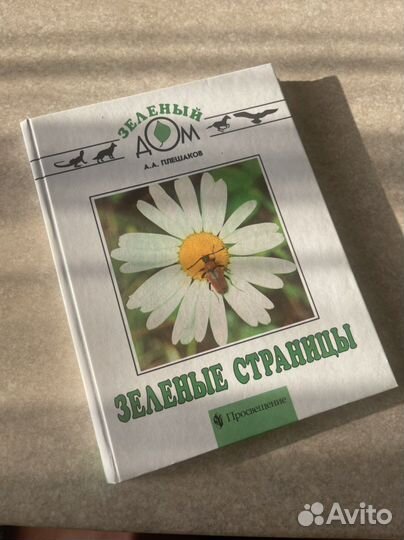 Зеленые страницы