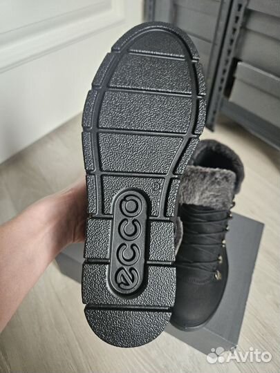 37 новые ботинки ecco bella