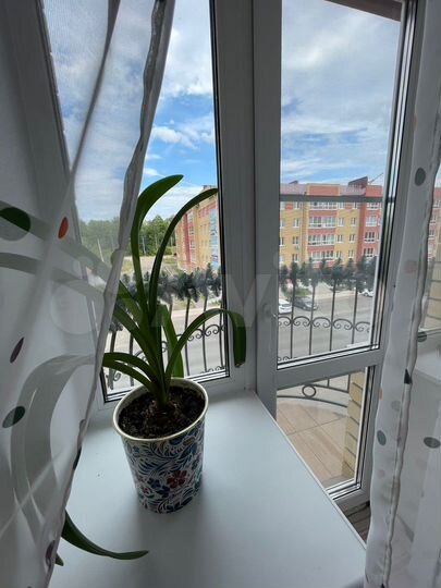 1-к. квартира, 35,4 м², 3/3 эт.