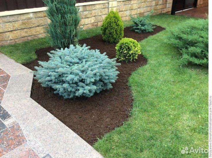 Ваш садовый участок в чистоте