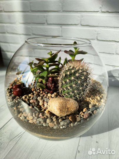 Флорариум, подарок, декор для интерьера