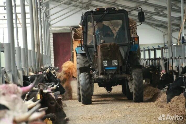 Тракторист, машинист