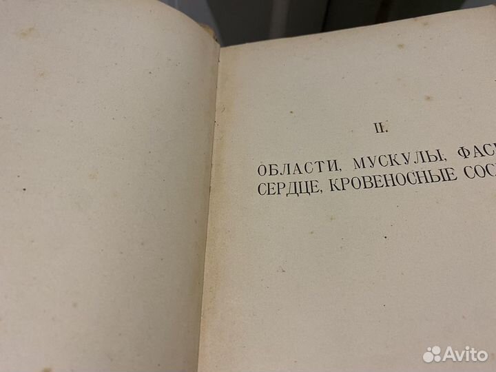 Анатомия человека атлас 1918 года