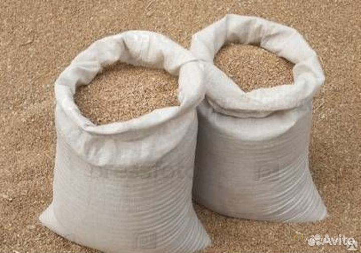 Продам пшеницу,рапс,гречку горох овёс ячмень