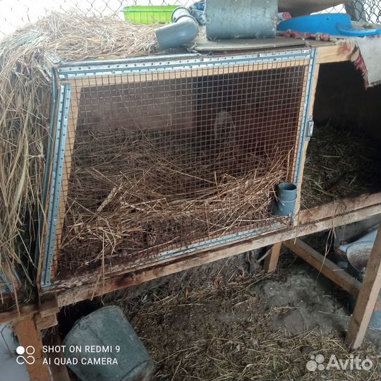 Клетка для кроликов с маточником