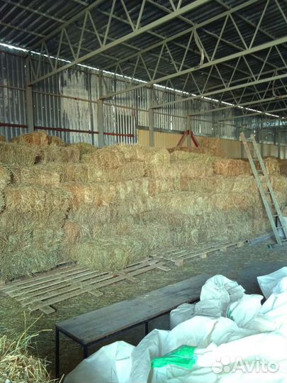 Зерно корма сено комбикорм