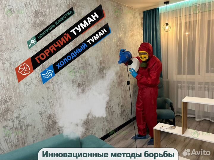 Уничтожение тараканов, клопов сэс в Стерлитамаке