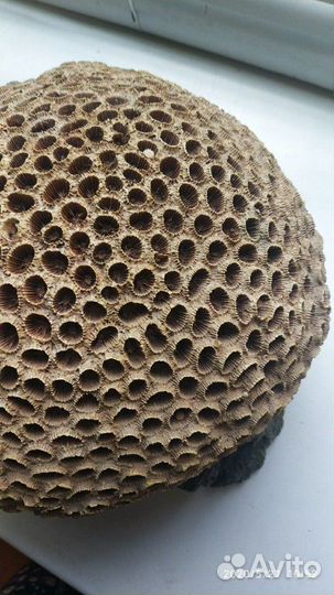 Грот для аквариума