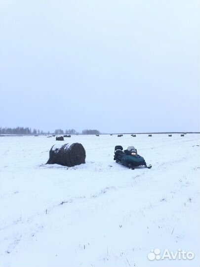 Arctic cat Pantera 550