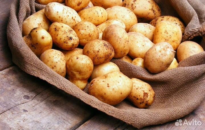 Картофель с доставкой и без