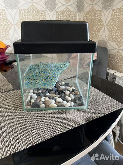 Аквариум для черепах