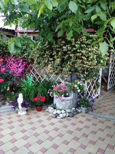 Дом 80 м² на участке 3 сот.