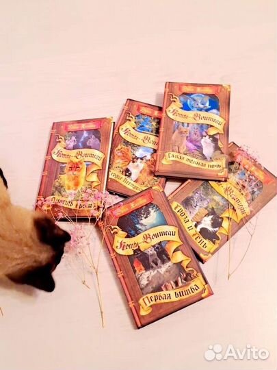Книги коты воители