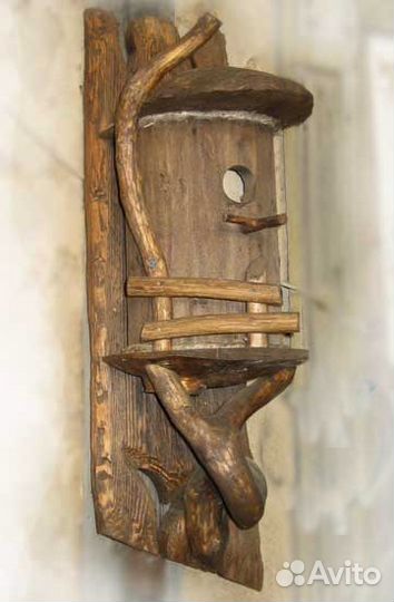 Белки Бурундуки