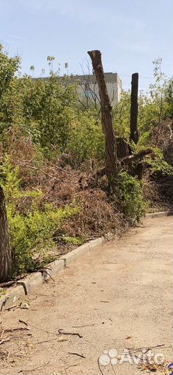 Древесная щепа, бревна