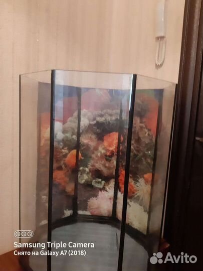 Аквариум 100 л