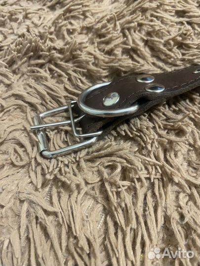 Ошейники для собак