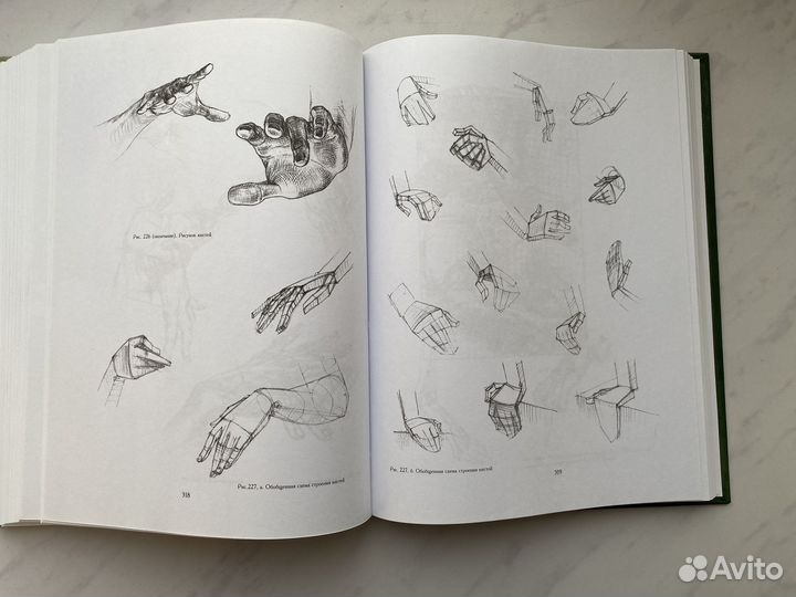 Основы учебного академического рисунка Николай Ли