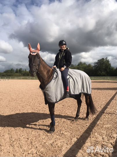 Занятие верховой ездой