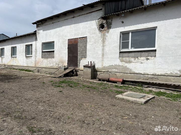 Животноводческая ферма