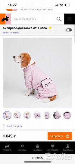 Комбинезон для маленькой собаки