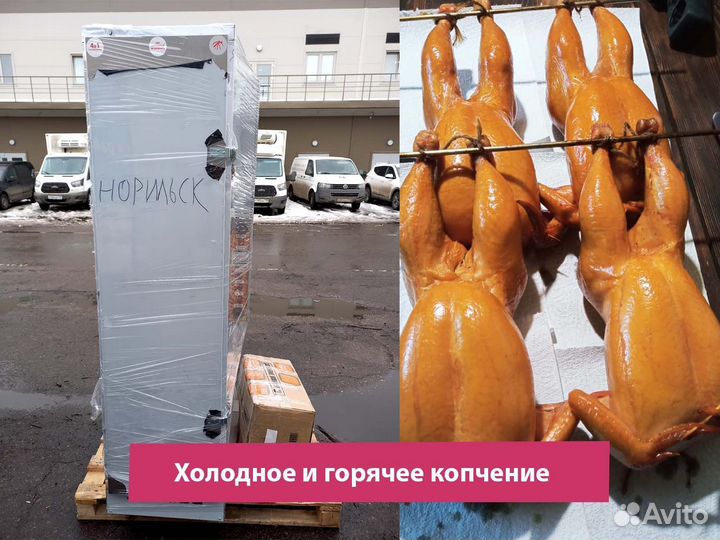 Коптильня электростатическая