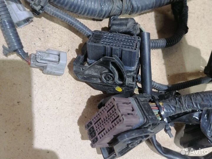 Проводка моторного отсека Nissan Juke 1.6 mr16ddt