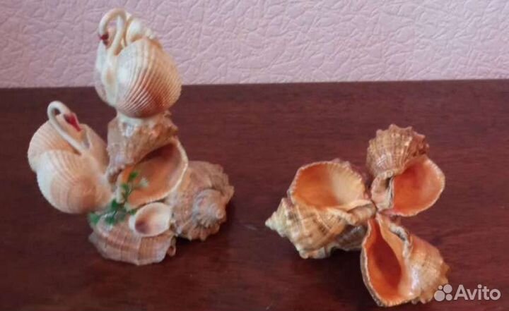 Поделки из морских ракушек