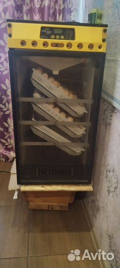 Инкубатор для яиц автоматический Бринси