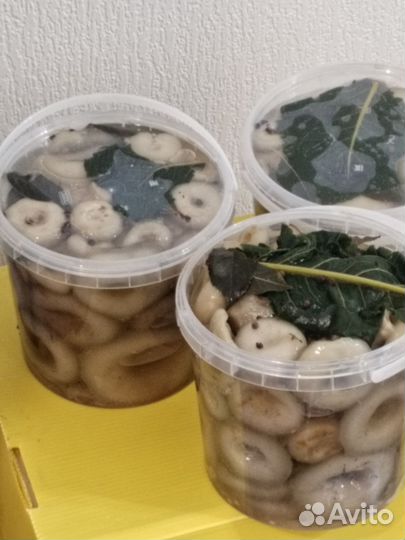 Солёные грузди и рыжики