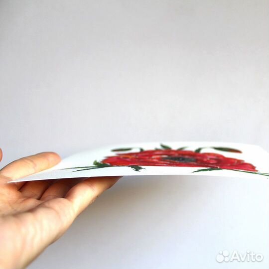 Картина акварелью цветок Красный МАК 20х20 см