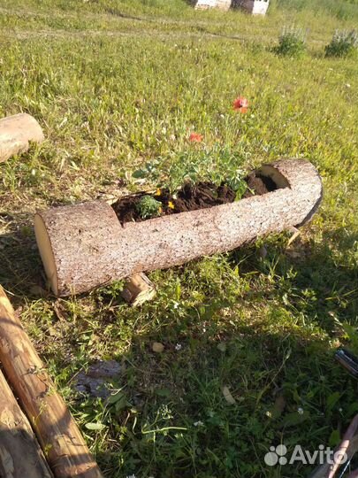 Цветник- бревно