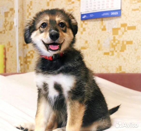 Улыбака Берта 2 месяца