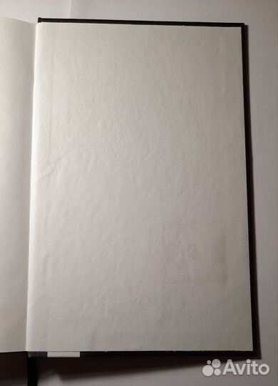 Когда дым застилает глаза. Кейтлин Даути