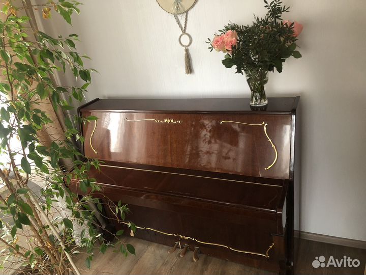 Неизвестно