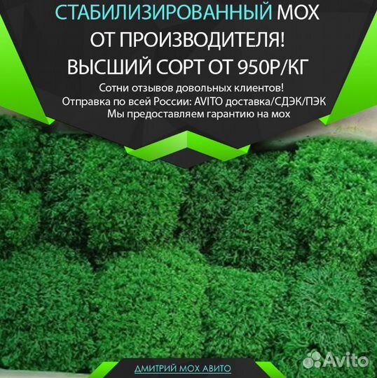Стабилизированный мох для эко-дизайна