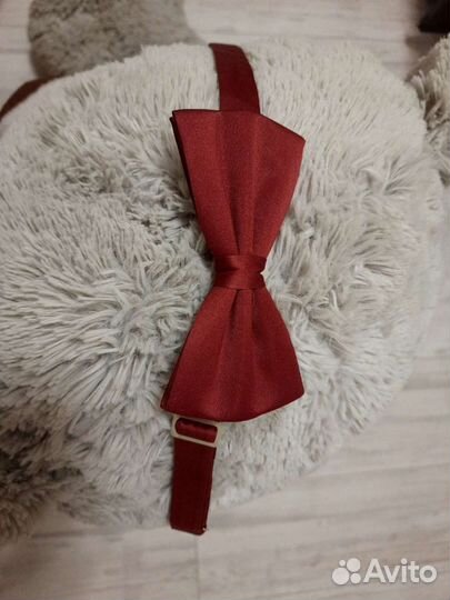 Бабочка новая