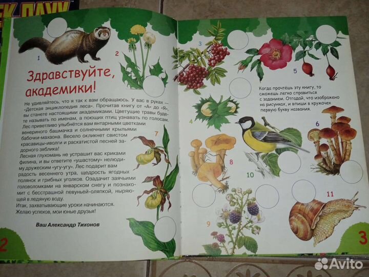 Детская энциклопедия леса Тихонов