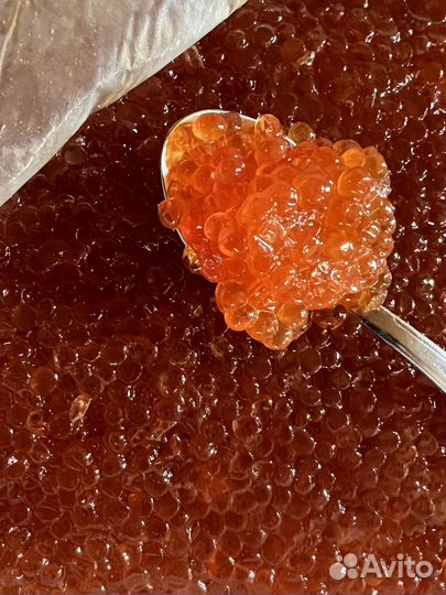 Икра красная горбуши осень 2023