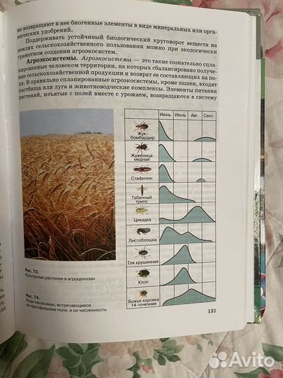 Учебник Экология 10(11)класс Чернова