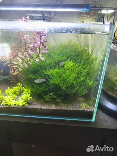 Украшение для аквариума