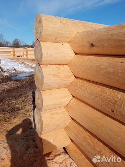 Сруб для дома 6х10