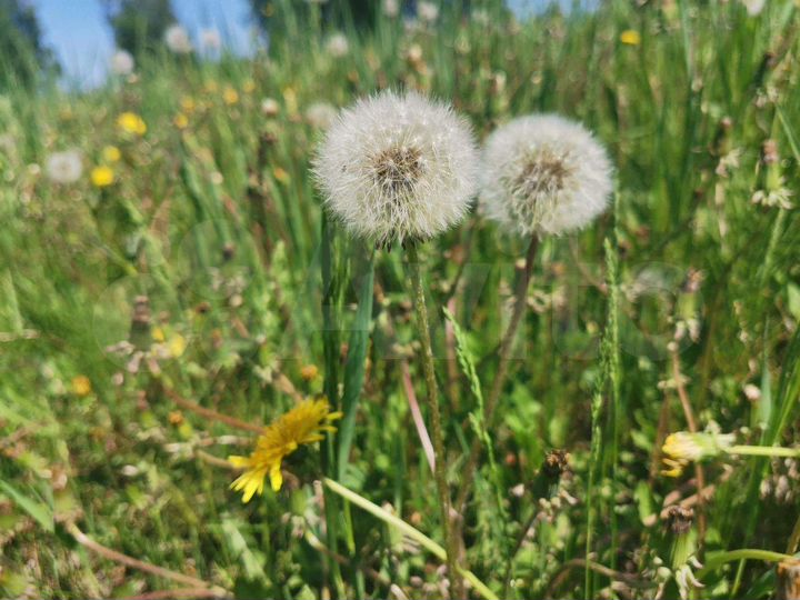 Участок 2,1 га (СНТ, ДНП)