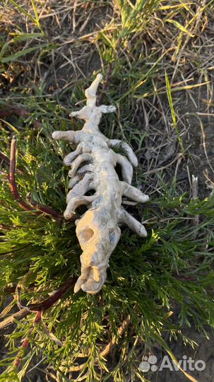 Керамика на заказ