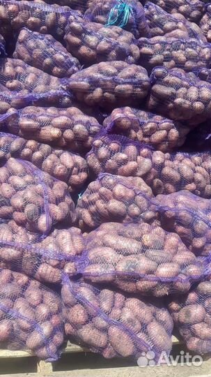 Овощи соления сухофрукты оптом и в розницу