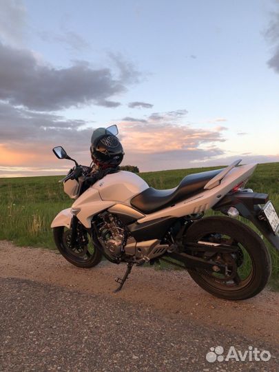 Suzuki GW 250