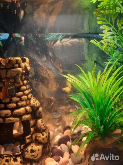 Аквариум 13 л