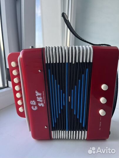 Детский Аккордион /гармошка cb sky