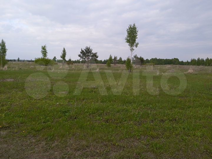 Участок 5,1 га (СНТ, ДНП)