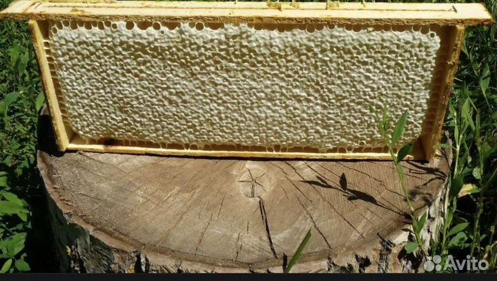 Перга.Мед в сотах.Соты